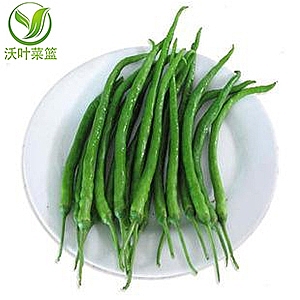青線椒（500g）
